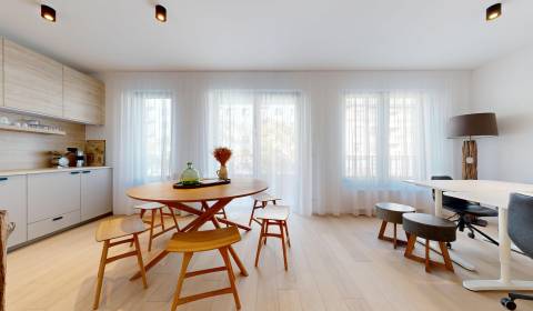 Bright 1 bedroom apartment in project PRI MÝTE