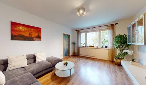 Sale Three bedroom apartment, Three bedroom apartment, Švabinského, Br