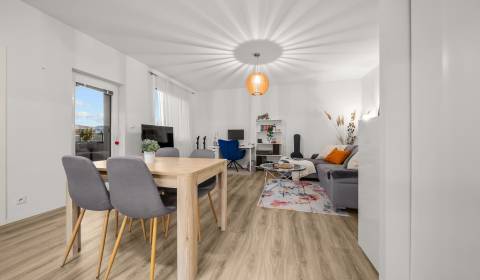 Sale One bedroom apartment, One bedroom apartment, Nejedlého, Bratisla