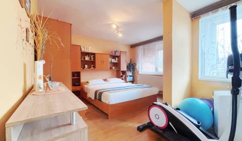 Sale Family house, Family house, Pšurnovická, Bytča, Slovakia