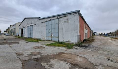 Rent Storehouses and Workshops, Storehouses and Workshops, Levická, Ni