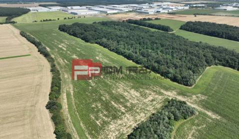 Sale Agrarian and forest land, Agrarian and forest land, Senecká, Sene