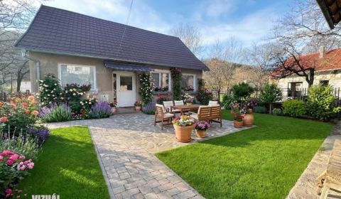 Sale Family house, Family house, Závada pod Čiernym vrchom, Bánovce na
