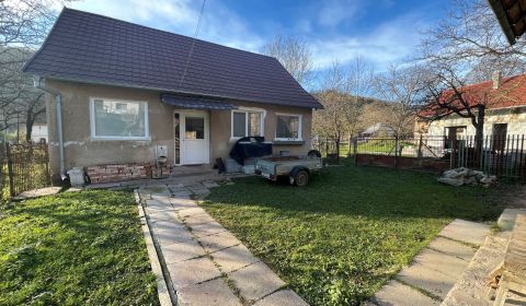 Sale Family house, Family house, Závada pod Čiernym vrchom, Bánovce na