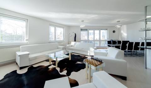 Unique, sunny 4bdr apt 183m2, terrace, parking, private area, cellar