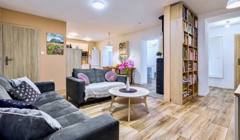 Sale Family house, Family house, Záhumenská, Senec, Slovakia