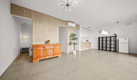 Sale One bedroom apartment, One bedroom apartment, Ružinovská, Bratisl