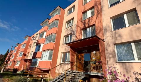 Sale Two bedroom apartment, Two bedroom apartment, Ružová, Senica, Slo