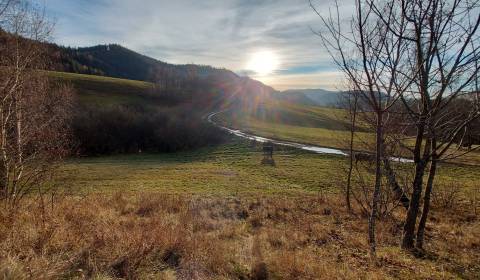 Sale Agrarian and forest land, Agrarian and forest land, Brezno, Slova