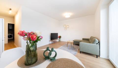 Rent One bedroom apartment, One bedroom apartment, Veltlínska, Nitra, 