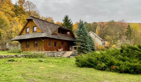 Sale Land – for living, Land – for living, Čereňany - Fančová, Prievid