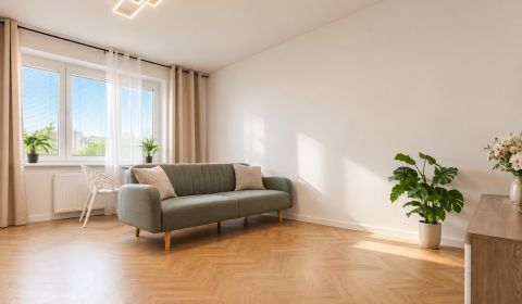 Fully renovated 2-bedroom apartment, Old Town