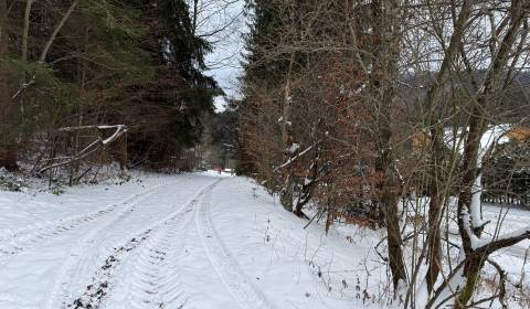 Sale Recreational land, Recreational land, Čertov, Púchov, Slovakia