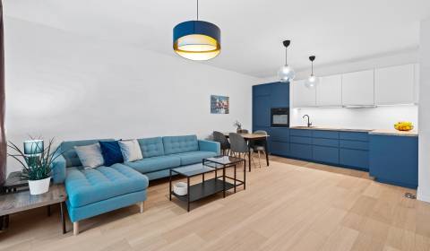 Rent One bedroom apartment, One bedroom apartment, Trnavská cesta, Bra