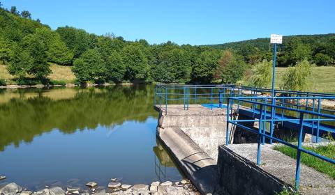 Sale Agrarian and forest land, Agrarian and forest land, Krupina, Slov