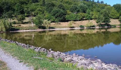 Sale Agrarian and forest land, Agrarian and forest land, Krupina, Slov