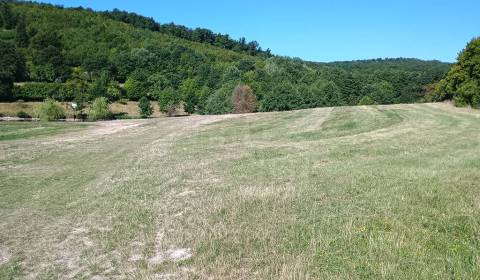 Sale Agrarian and forest land, Agrarian and forest land, Krupina, Slov