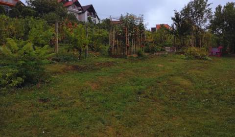 Sale Land – for living, Land – for living, Narcisová, Nitra, Slovakia