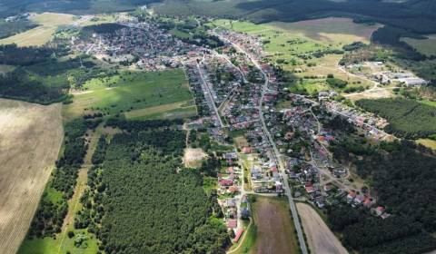 Sale Agrarian and forest land, Agrarian and forest land, Malacky, Slov