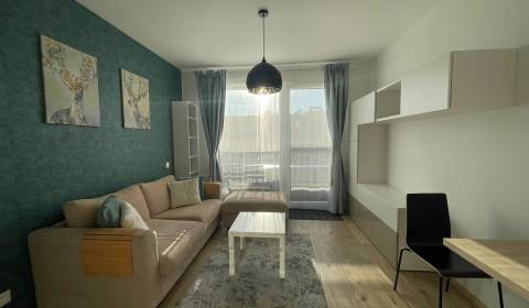 Sale Studio, Studio, Zuzany Chalupovej, Bratislava - Petržalka, Slovak