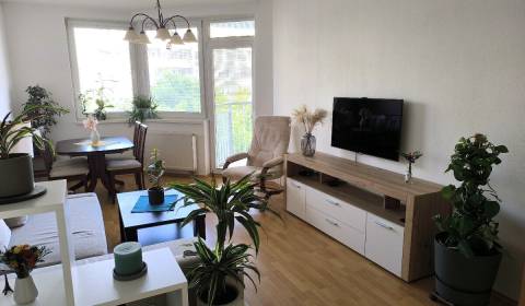 Rent One bedroom apartment, One bedroom apartment, Bratislava - Ružino