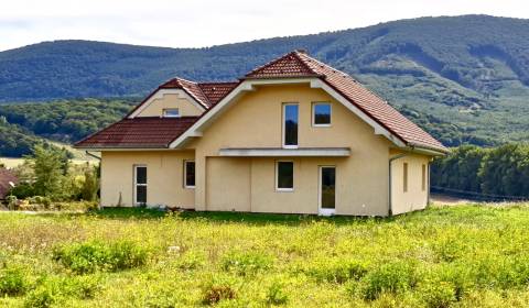 Sale Family house, Family house, Trnava, Slovakia