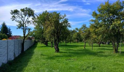 Sale Land – for living, Land – for living, Topoľčany, Slovakia