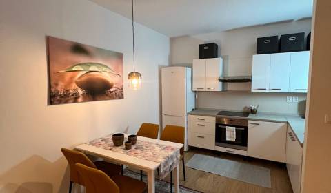 Rent One bedroom apartment, One bedroom apartment, Clementisove sady, 
