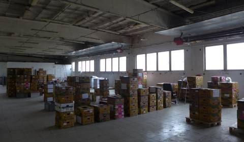 Rent Storehouses and Workshops, Storehouses and Workshops, Bratislava 