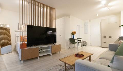 Bright 1.5-room flat with loggia