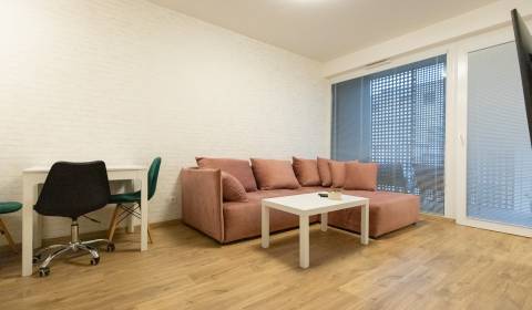 Furnished 2-room flat with loggia in Pri Mýte