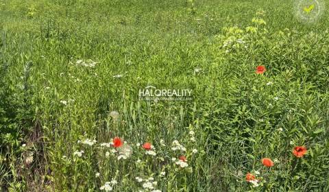 Sale Land – for living, Košice-okolie, Slovakia