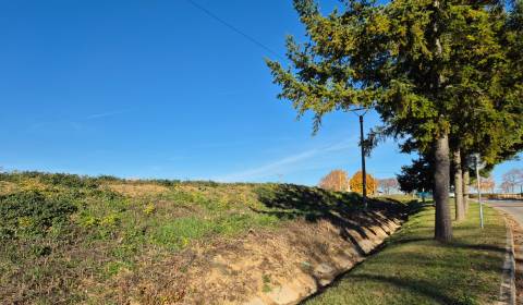 Sale Land – for living, Land – for living, Zlaté Moravce, Slovakia