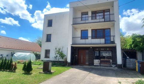 Sale Family house, Family house, Dolný Lopašov, Piešťany, Slovakia