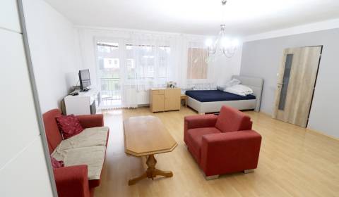 Sale Family house, Family house, Dolný Lopašov, Piešťany, Slovakia