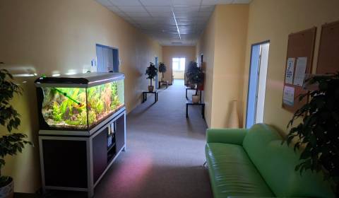 Rent Offices, Offices, Drobného, Bratislava - Dúbravka, Slovakia