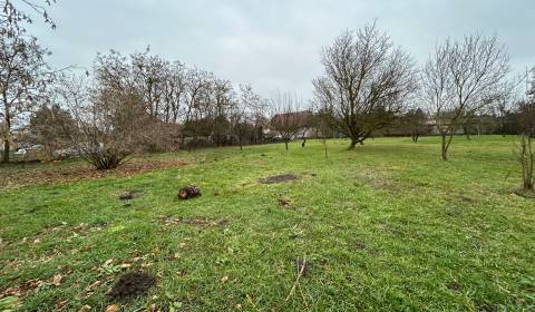 Sale Land – for living, Land – for living, Kava hlavná, Komárno, Slova