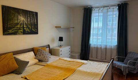 Rent One bedroom apartment, One bedroom apartment, Veltlínska, Pezinok