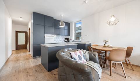 Sale Two bedroom apartment, Two bedroom apartment, Žltá, Bratislava - 