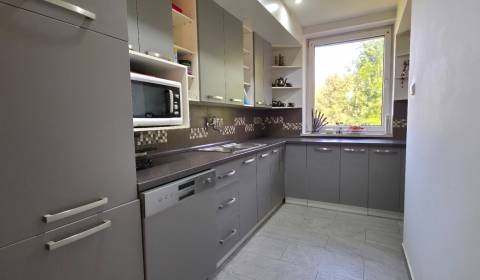 Sale Family house, Family house, Žiar nad Hronom, Slovakia