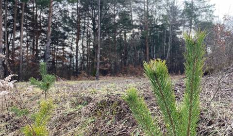 Sale Land – for living, Land – for living, Banská Bystrica, Slovakia