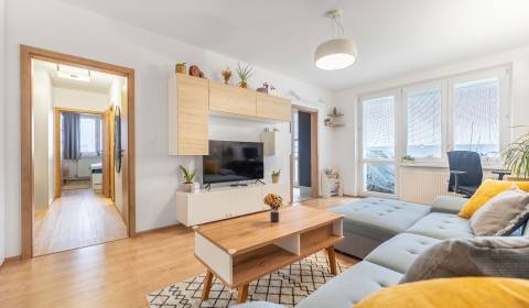 Sale Two bedroom apartment, Two bedroom apartment, Botanická, Trnava, 