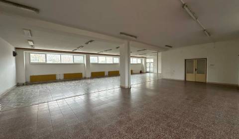 Rent Commercial premises, Commercial premises, Komenského, Komárno, Sl