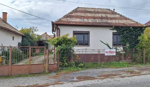 Family house 1+3 with central heating + outbuildings
