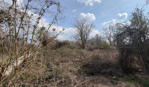 Sale Land – for living, Land – for living, Domkárska, Bratislava - Ruž