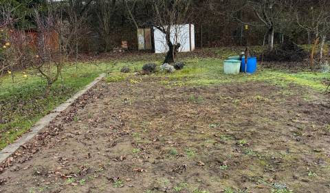 Sale Gardens, Gardens, Podhradie, Levice, Slovakia