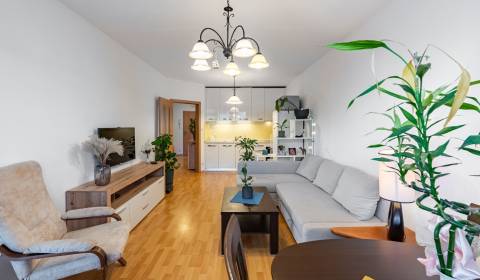 Pleasant 1bdr apt 50 m2, A/C, with balcony and parking, JÉGÉHO ALEJ 