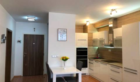 Nice 1bdr apt 51m2, with a loggia, air conditioning and parking, SOLAR