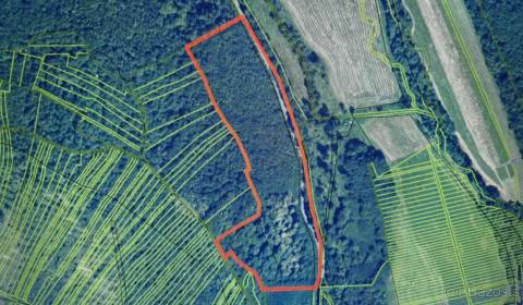 Sale Agrarian and forest land, Agrarian and forest land, Veľký Krtíš, 