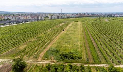 Sale Recreational land, Recreational land, Panský chodník, Pezinok, Sl